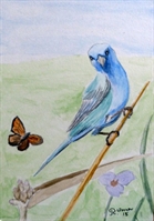 w1218 Vogel Aquarell